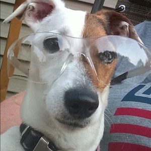 Meet your Posher, Cathie